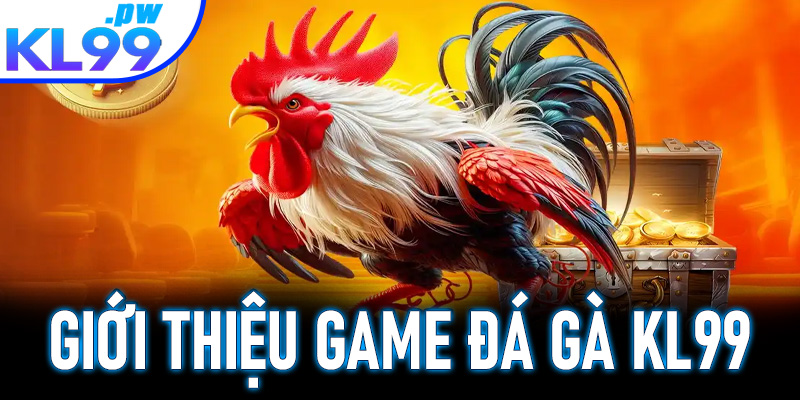 Giới thiệu về sảnh đá gà KL99 hấp dẫn
