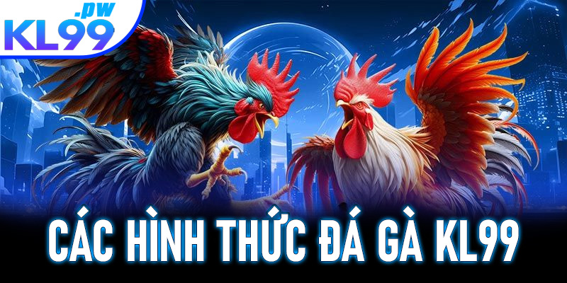 Các hình thức đá gà KL99 phổ biến nhất
